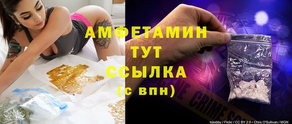 молекула духа Алексеевка