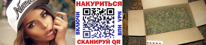 дарнет шоп  Пушкино  Конопля White Widow 